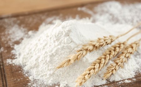 Despite inflation, people in Karachi are buying the priciest wheat : Reports