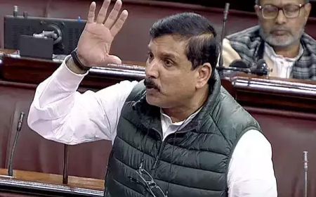 Aam Aadmi Party MP Sanjay Singh Suspended from Rajya Sabha for 'Repeatedly Violating Chair's Directions