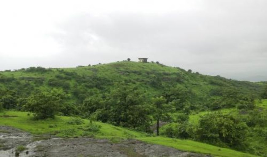 Parsik Hill in Navi Mumbai Faces Landslide Threat: Residents Sound Alarm