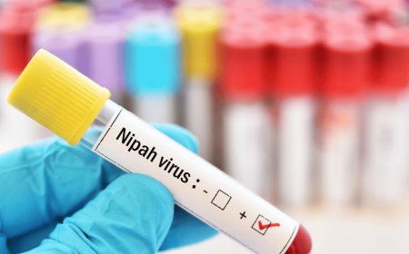 Nipah Virus Latest Updates: Over 1,200 Contacts Traced, 61 Test Negative, 352 High-Risk