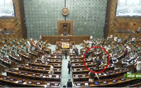 Security Breach in Indian Parliament as Two Intruders Jump into Lok Sabha from Gallery