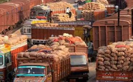 Truck Drivers Protest New Hit-and-Run Law in Navi Mumbai, Attack Police