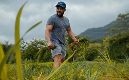 Two Arrested for Trespassing at Salman Khan's Panvel Farmhouse