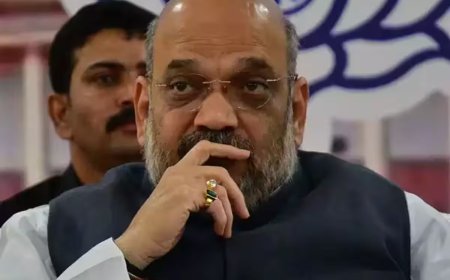 Union Home Minister Amit Shah's Elder Sister Rajuben Passes Away