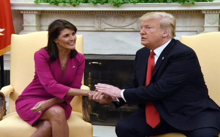 Major Victory for Donald Trump in Presidential Preparations, Disappointment for Nikki Haley