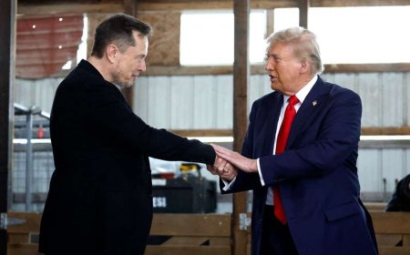 Trump Appoints Elon Musk to Head New Department of Government Efficiency