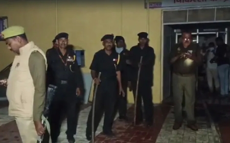 Tragedy in Jhansi: Fire Breaks Out in Children's Ward, Several Feared Dead