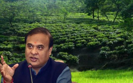 Assam CM Himanta Biswa Cabinet Renames Karimganj District to Sribhumi