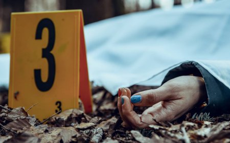 झारखंड: 25 वर्षीय युवक ने लिव-इन पार्टनर की हत्या कर 50 टुकड़े किए, शादी छिपाने के कारण दिया खौफनाक वारदात को अंजाम