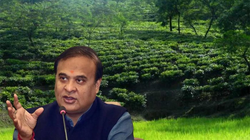 Assam CM Himanta Biswa Cabinet Renames Karimganj District to Sribhumi