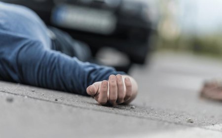 25-Year-Old Model Killed in Bandra Hit-and-Run Incident, Police Launch Hunt for Driver