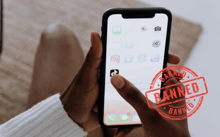 US Lawmakers Urge Google, Apple to Prepare for TikTok Ban Amid National Security Concerns