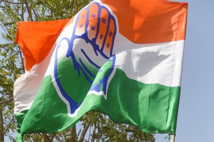 Congress Releases First List of 21 Candidates for Delhi Assembly Elections