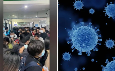 HMPV Outbreak in China: Check How Does HMPV Spread, Who is Most at Risk?