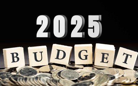 Budget 2025: New Income Tax Slabs Explained, Key Differences Between Old and New Regimes