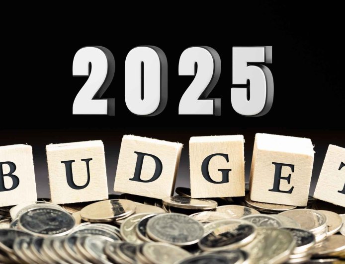 Budget 2025: New Income Tax Slabs Explained, Key Differences Between Old and New Regimes