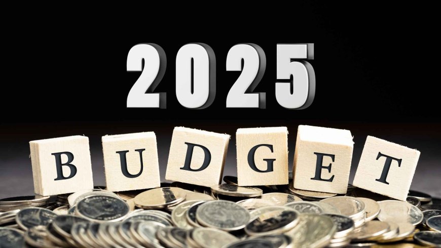 Budget 2025: New Income Tax Slabs Explained, Key Differences Between Old and New Regimes