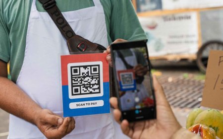 UPI Transactions Decline 5% MoM in February 2025 After Consecutive Record Highs